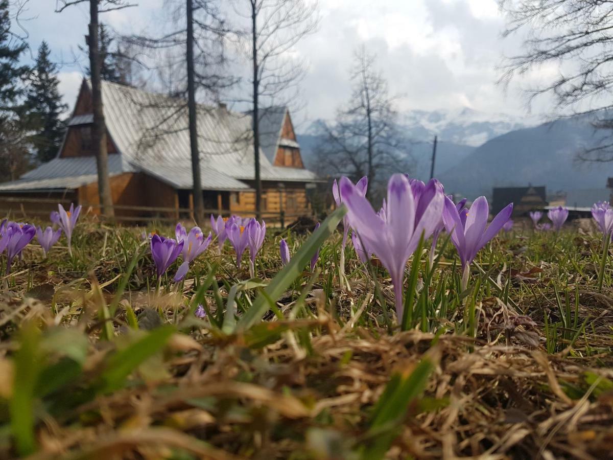 Apartament Sielanka, Basen Косьцелісько Екстер'єр фото